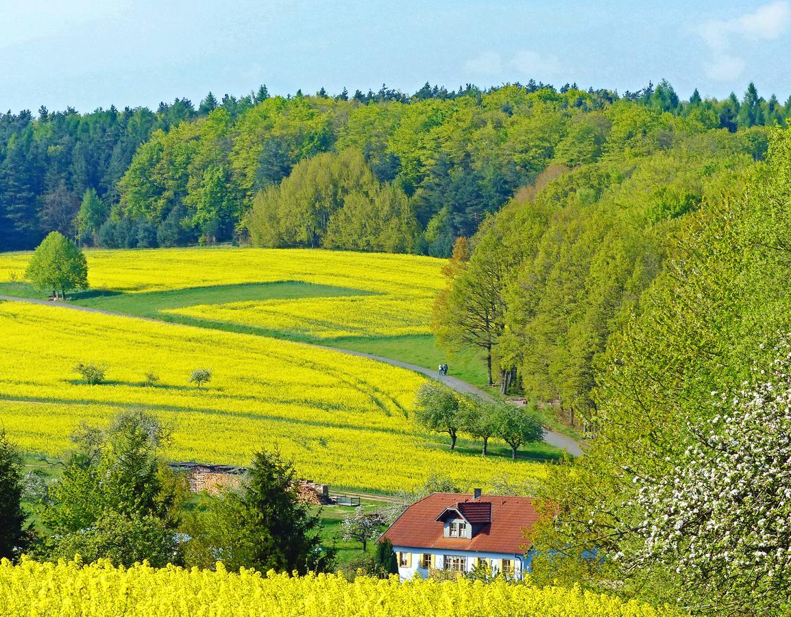 ホテル Restaurant Gruener Baum Leidersbach エクステリア 写真